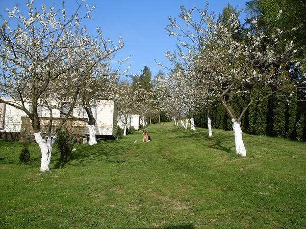 Czeresniowy Sad Villa Wiselka Ngoại thất bức ảnh
