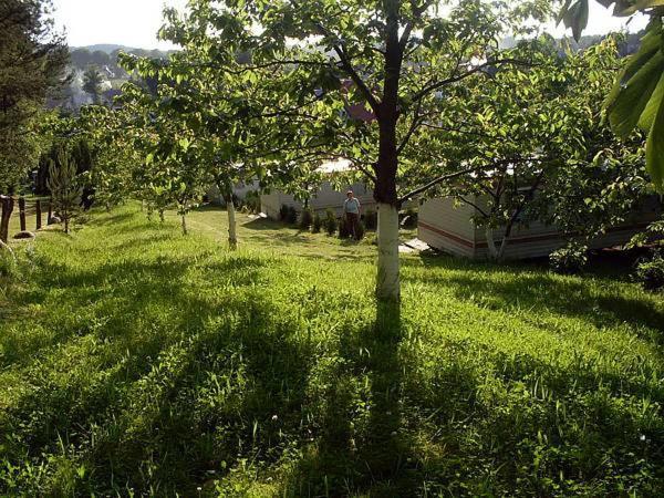 Czeresniowy Sad Villa Wiselka Ngoại thất bức ảnh